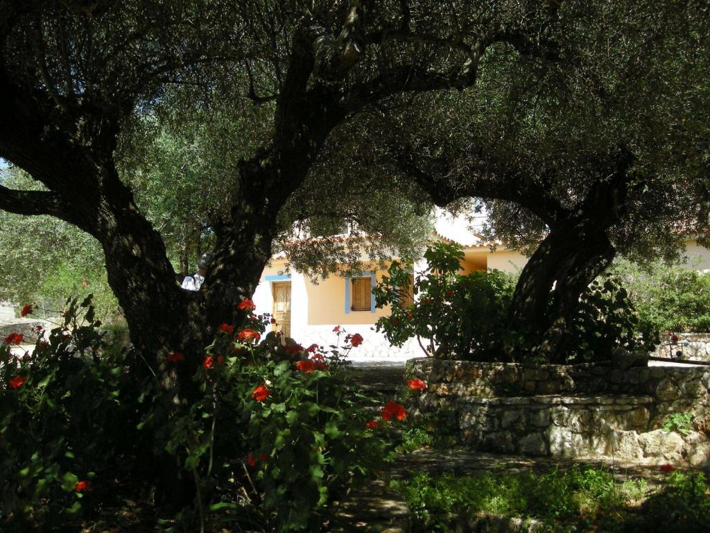 Apartamento Il Veliero Fiskardo Exterior foto